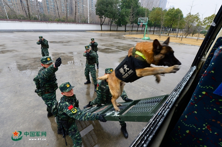 泡生普要多少℃的水温